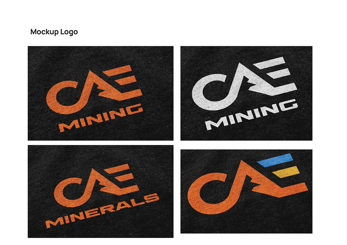 CAE — 8.1